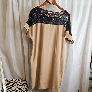 New York & Company Tan Dress with Black Lace Accents Sz Xl